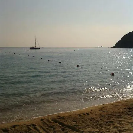 I Doni Del Mare *